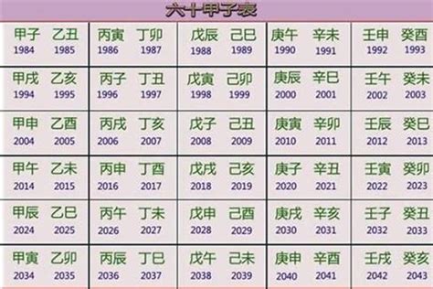 2024 什么龙|2024年五行属性表 2024年五行属金还是水